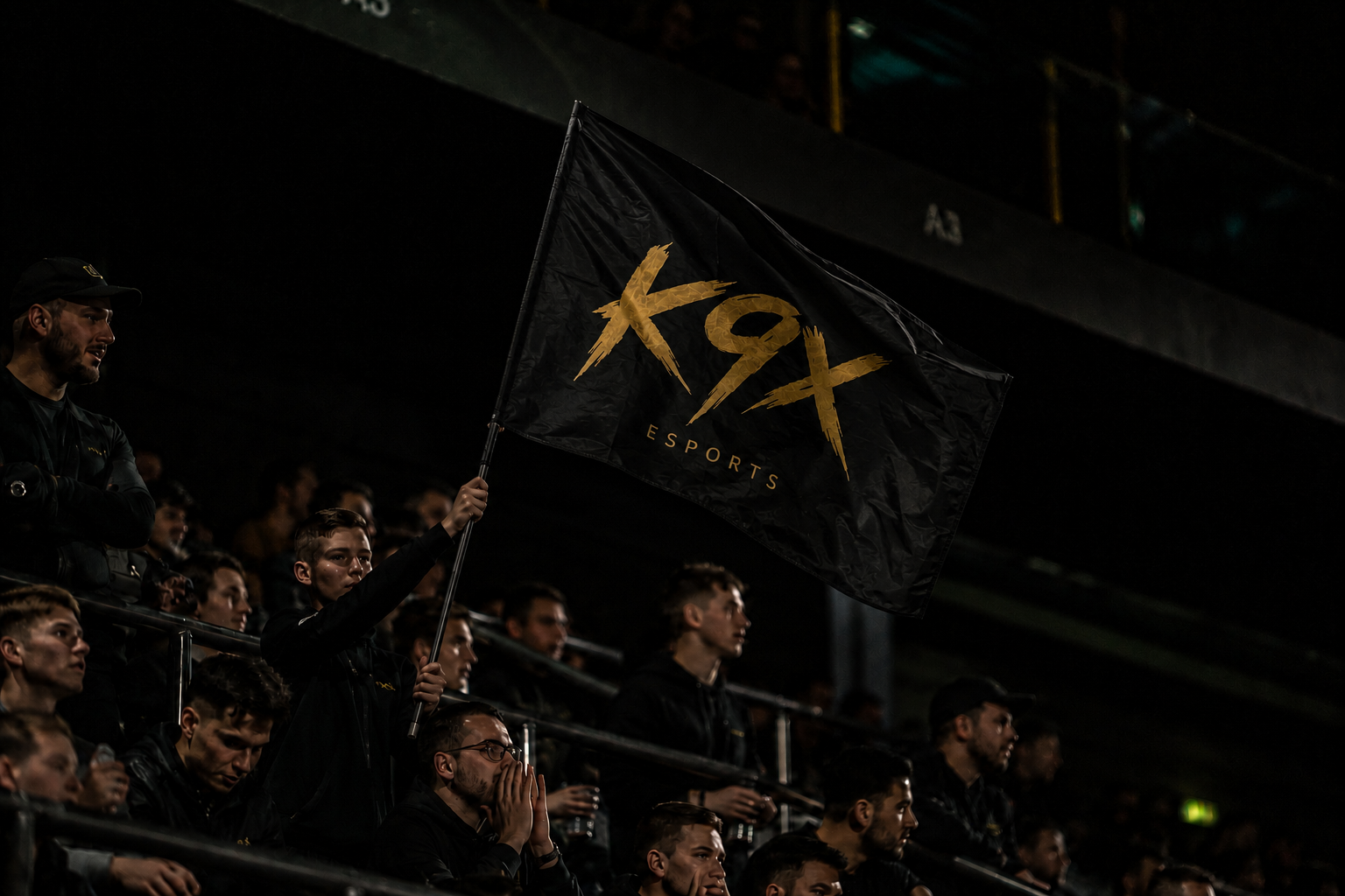 K9X fans in the arena